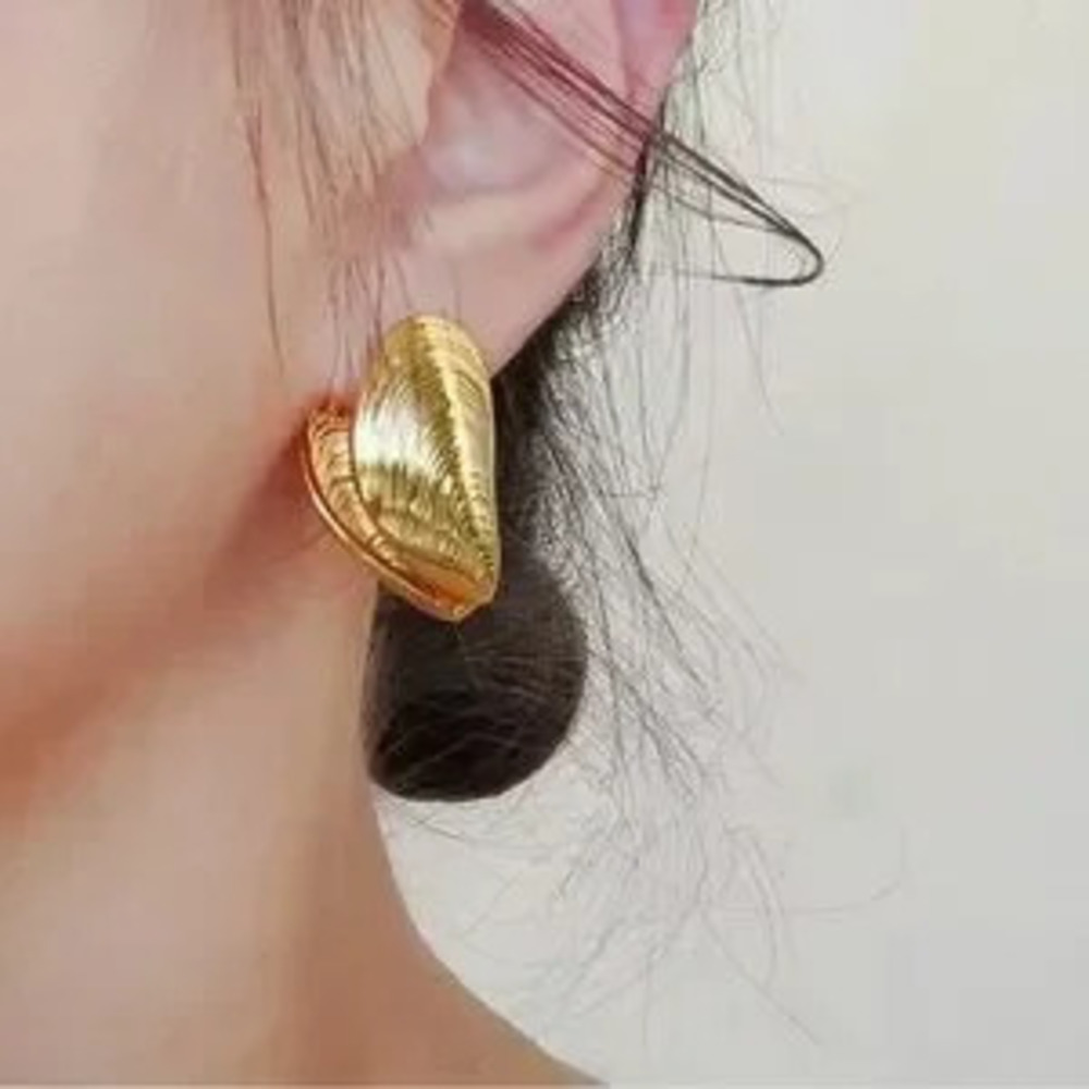 Clam shell earrings New Shell Silver Earrings Clam Shell Earrings